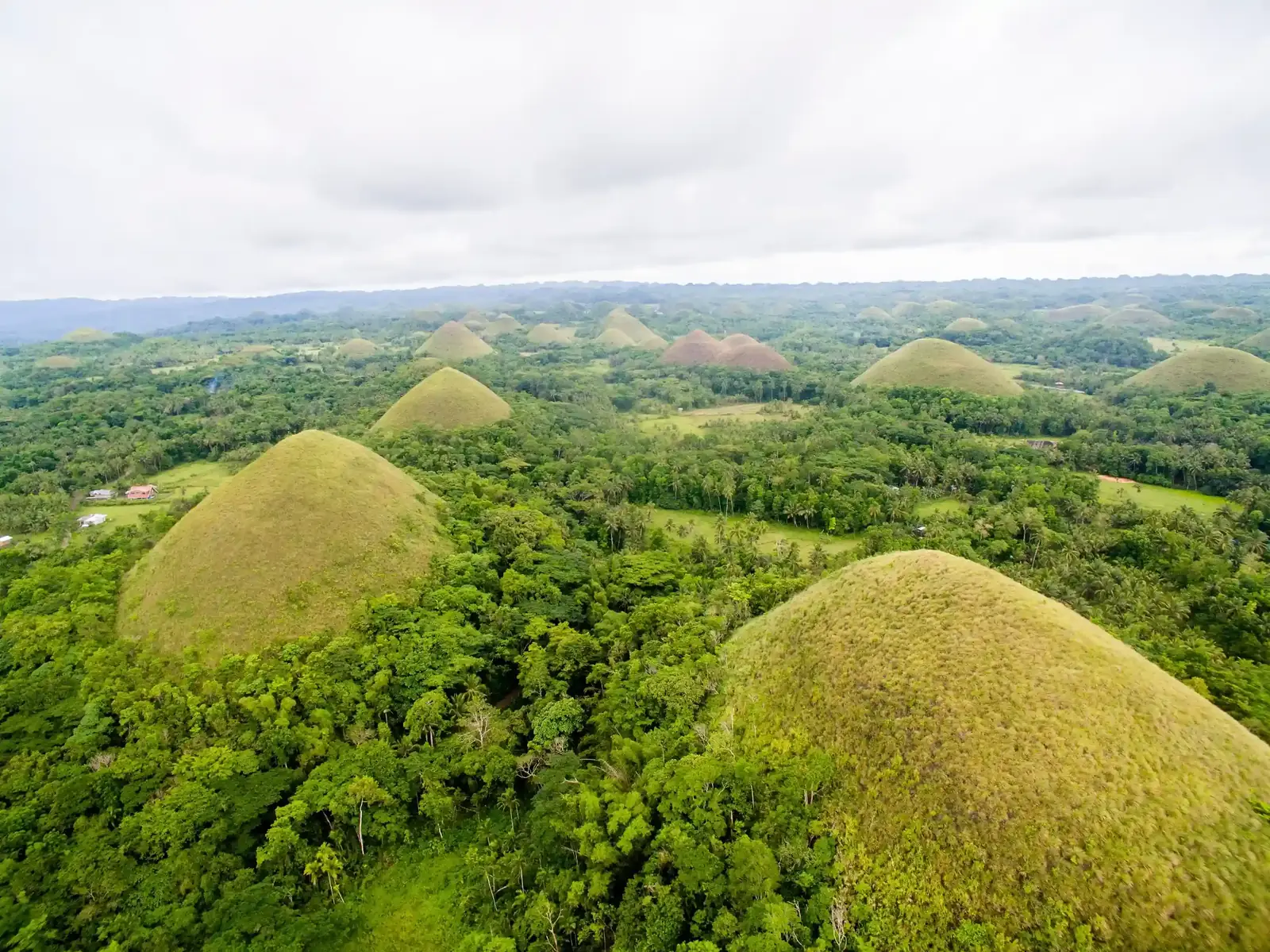 הרי השוקולד בבוהול