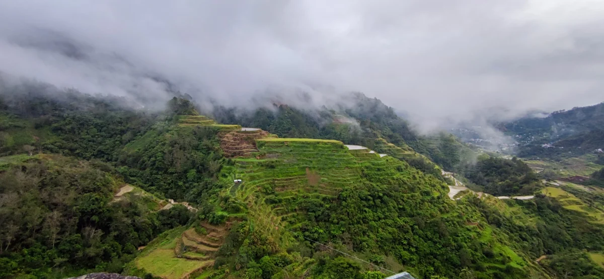 בנאווי ובטאד