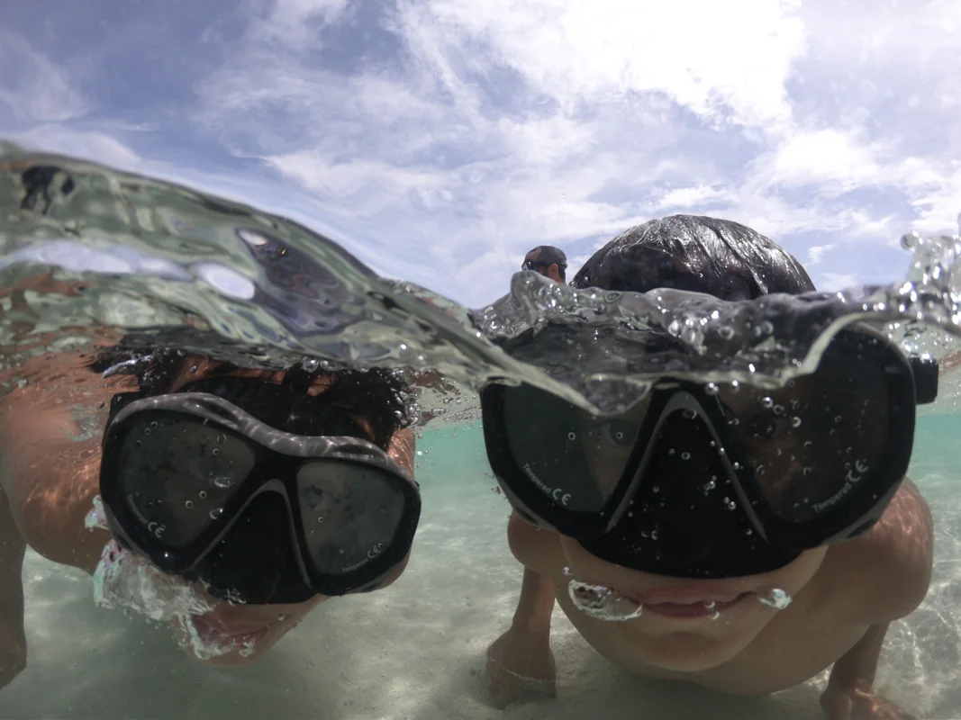 טיולי משפחות